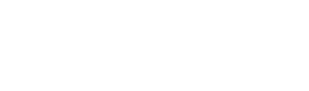 lidapssi.com